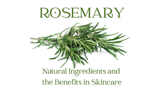benefits of rosemary in skin creams